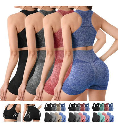 SET DEPORTIVO CORTO TOP/ SHORT AM-414 MORADO OSCURO